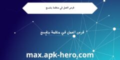 فرص العمل في منظمة بنفسج
